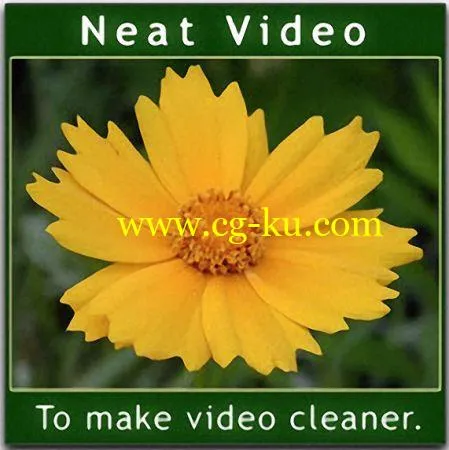 ABSoft Neat Video Pro 5.0.2 x64 for Adobe Premiere的图片1