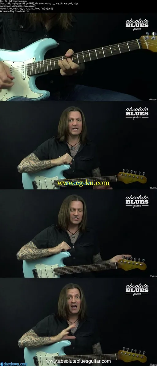 15 Essential Blues Guitar Licks的图片2
