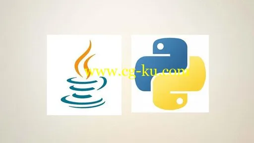 Complete Python and Java Programming BUNDLE的图片2