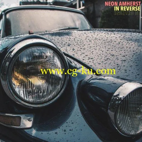 Neon Amherst – In Reverse (2019) FLAC的图片1