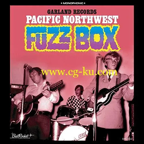 VA – Garland Records: Pacific Northwest Fuzz Box (2019) FLAC的图片1