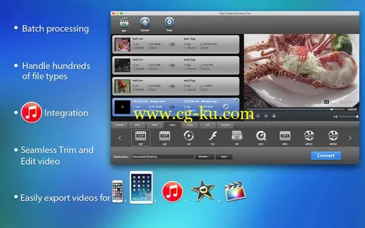 Total Video Converter Pro 4.5.0 Multilingual MacOSX的图片1