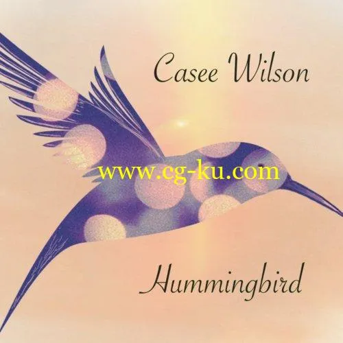 Casee Wilson – Hummingbird (2019) Flac的图片1