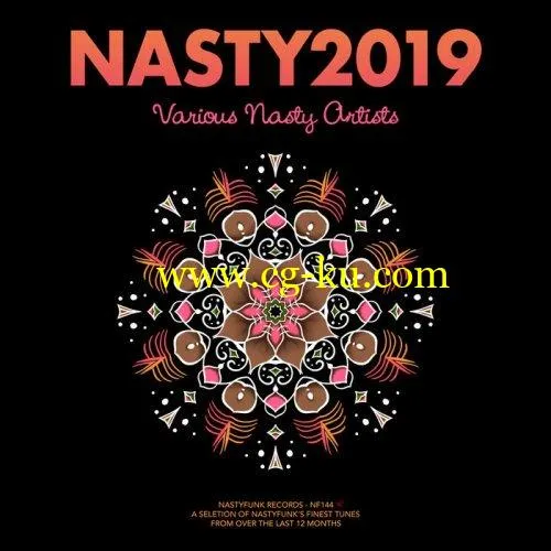 VA – NASTY2019 (2019) FLAC的图片1