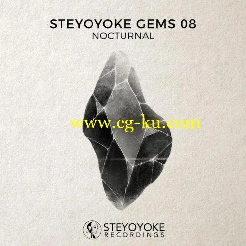 VA – Steyoyoke Gems Nocturnal 08 (2019) FLAC的图片1