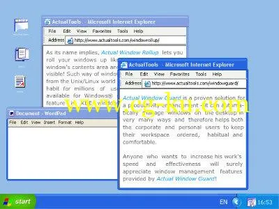 Actual Window Guard 8.14.3 Multilingual的图片1