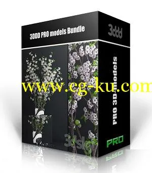 3DDD/3DSky PRO models – December 2 2019的图片1