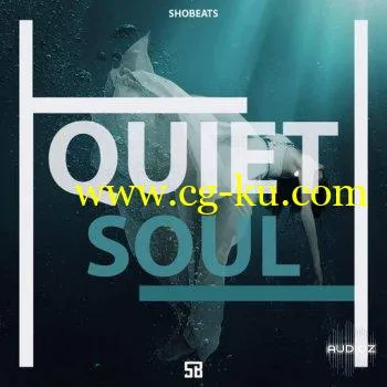 Shobeats Quiet Soul WAV MiDi SYLENTH1 KONTAKT NEXUS OMNiSPHERE PRESETS HAPPY NEW YEAR的图片1