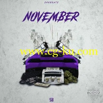 Shobeats November WAV MiDi AiFF SYLENTH1 PRESETS的图片1