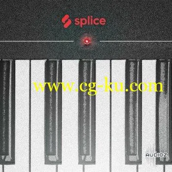 Splice Originals Vintage Keys with Aron Magner WAV-DECiBEL的图片1