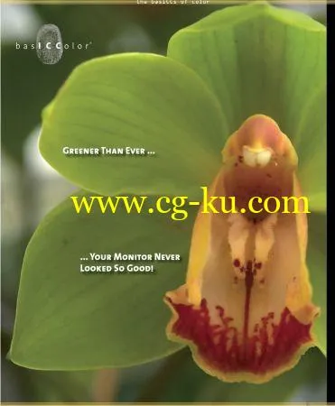 basICColor display 6.0.0 Build 2384 Multilingual的图片1