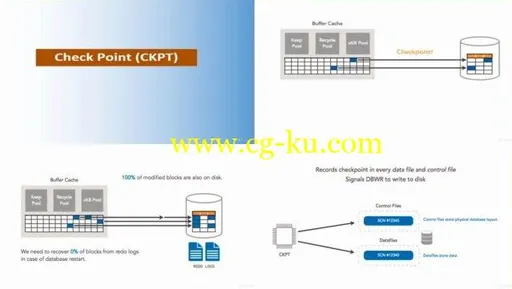 Oracle 12c – Database Administration for Junior DBA的图片2