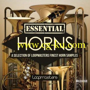 Loopmasters Essentials 42 Horns WAV的图片1