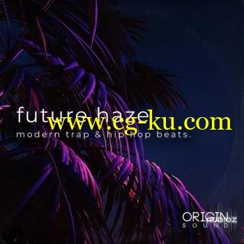 Origin Sound Future Haze WAV MIDI的图片1