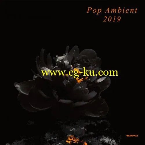 VA – Pop Ambient 2019 (2018) FLAC/MP3的图片1