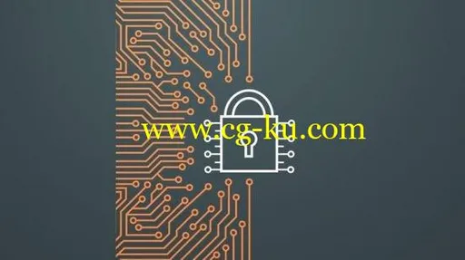 Hacking in Practice Certified Ethical Hacking MEGA Course的图片2