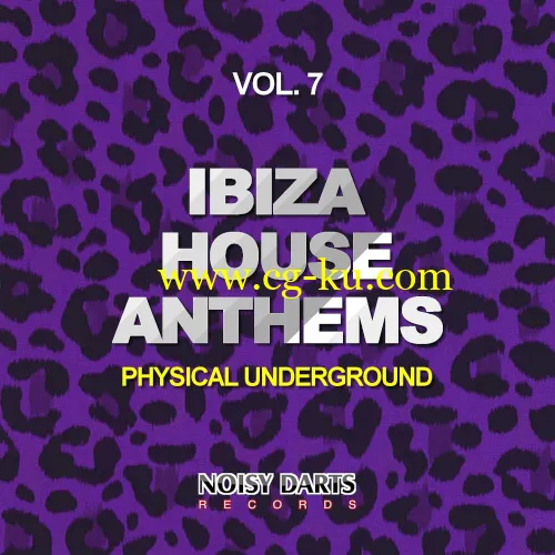 VA – Ibiza House Anthems Vol. 7 (Physical Underground) (2019)的图片1