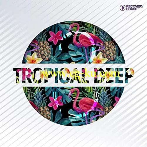 VA – Tropical Deep Vol.3 (2019) MP3的图片1