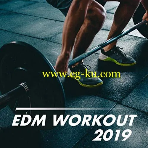 VA – EDM Workout 2019 (2019) MP3的图片1