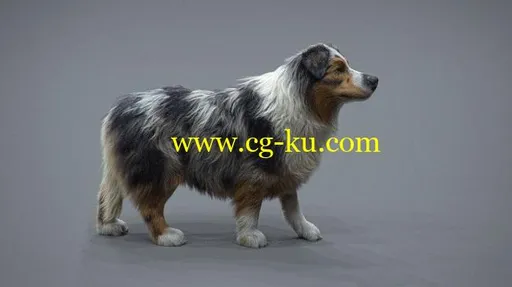 The Gnomon Workshop – Realistic Dog Grooming for Production with XGen with Jordan Soler的图片1