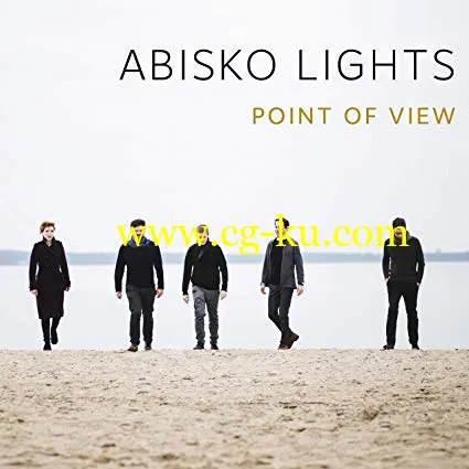 Abisko Lights Point of View (2019) FLAC的图片1