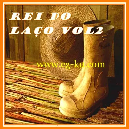 VA – Rei do Lao Vol. 2 (2019) FLAC的图片1