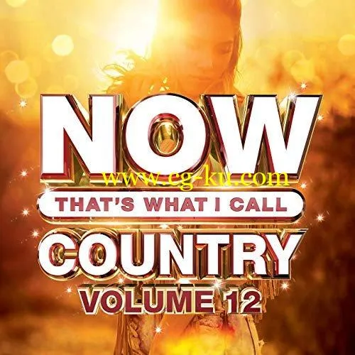 VA – Now Thats What I Call Country Vol.12 (2019) FLAC的图片1