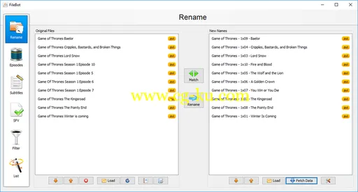 FileBot 4.8.5的图片1