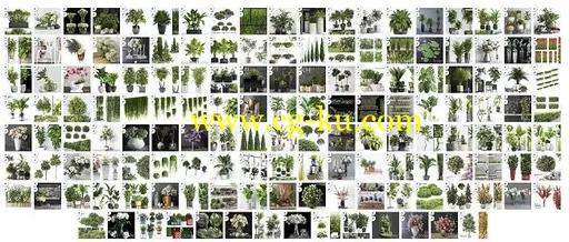 3DSky – Pro Models Plants Set的图片1