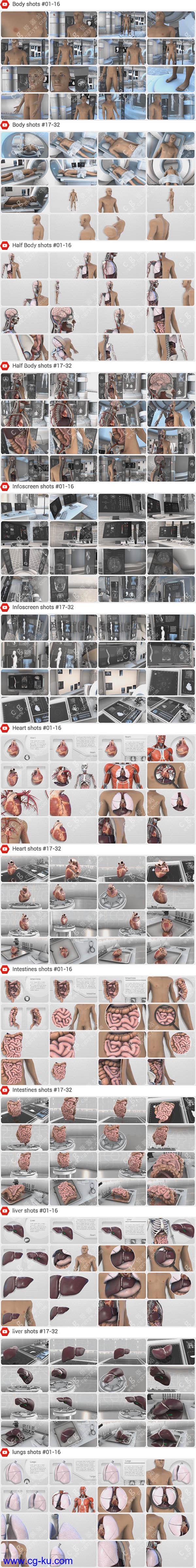AE模板-E3D三维模型人体解剖健康医疗医学展示动画纪录片的图片2