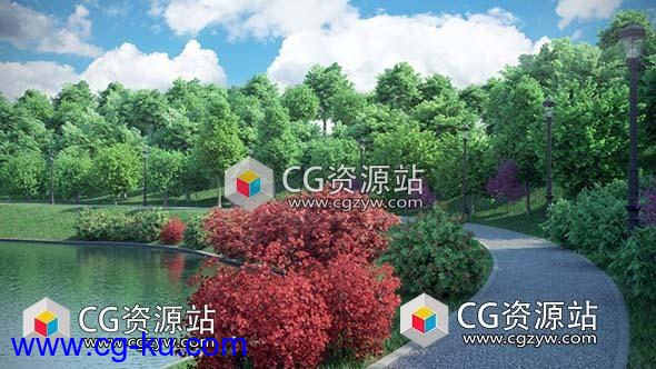 3D树木红橡树红枫树银杏树郁金香树模型(C4D+C4D VRAY格式)CGAxis Models Volume 76 Trees X的图片1