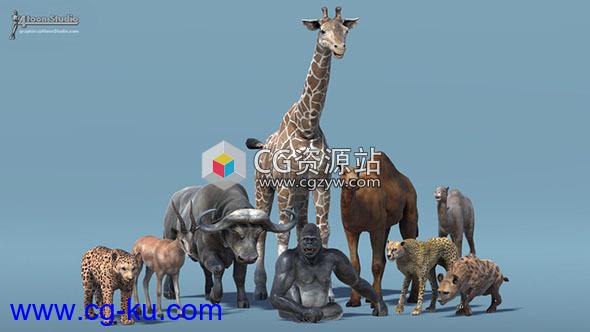Unity非洲动物包2含绑定水牛长颈鹿大猩猩等African Animal Pack 2 v2.0的图片1