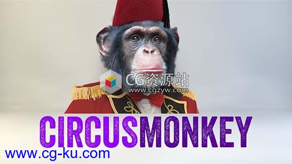 3D空间文字MG动画运动排版AE脚本 Aescripts CircusMonkey V1.04 + 使用教程的图片1