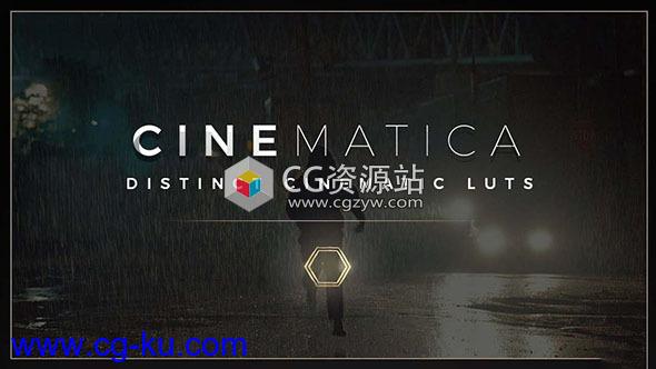 50种独特电影LUTS调色预设（AE/PR/FCPX/PS/达芬奇/OFX）的图片1