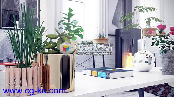 30个室内盆栽植物3D模型集合CGAxis第111卷的图片1