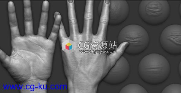 15组手皮肤细节雕刻Zbrush笔刷Gumroad ZBrush Hand Details VDM Brush的图片1