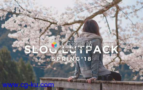 9组索尼Sony LUTS视频调色预设AE/Pr/FCPX/达芬奇/PS等的图片1