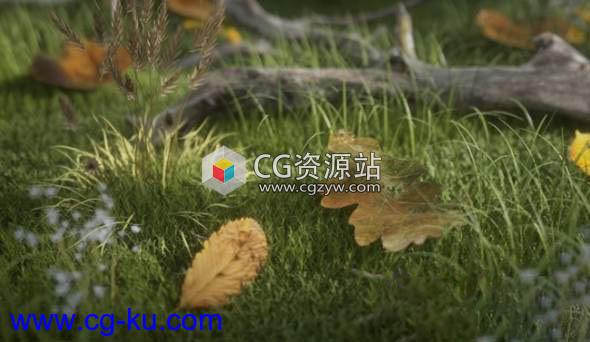 62个C4D Octane渲染器叶子材质预设的图片1