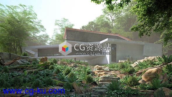 56个树枝树干岩石3D模型 Evermotion Archmodels 191的图片1