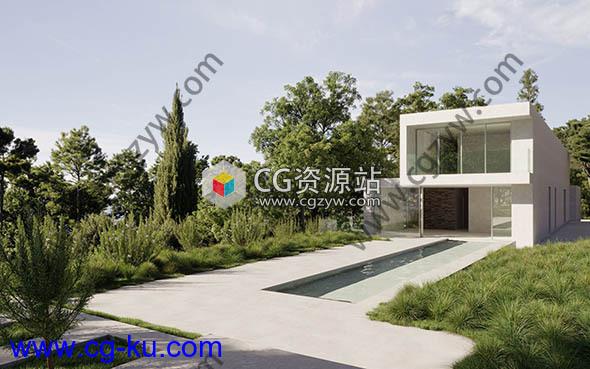 60组高质量植物树木草木3D模型合集的图片2
