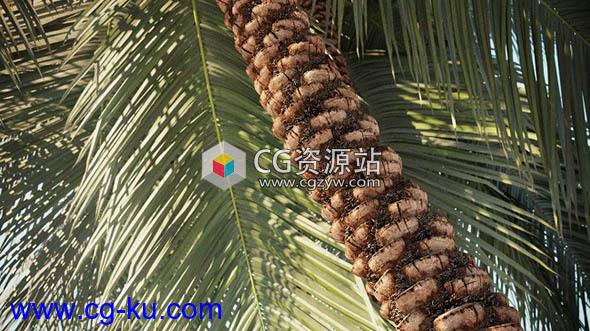 21组高精度树皮石头材质球模型预设 Archmaterials Vol.2的图片1
