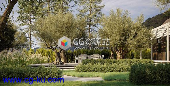 48组高质量3D树木草木植物模型集合的图片2