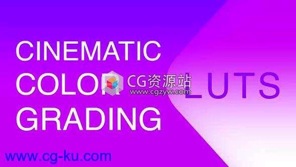 FCPX插件-16个照片视频LUTs调色预设的图片1