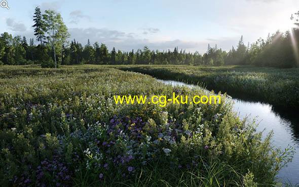 15个花草植物3D模型 Archmodels Vol.235 3DS MAX格式的图片1