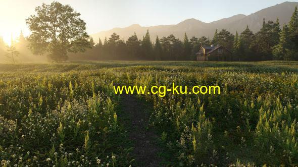 14个低多边形草植物3D模型 Archmodels Vol. 226的图片1