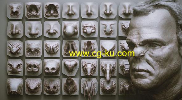 40个概念生物动物鼻子Zbrush VDM雕刻笔刷模型预设的图片1