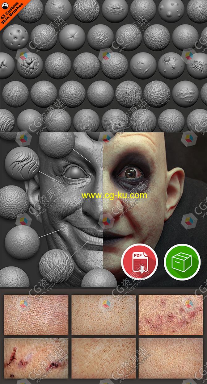 69组ZBrush逼真人类角色皮肤笔刷合集的图片1