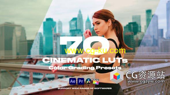 38组LUTs电影婚礼调色预设 Cinematic LUTs(FCPX/达芬奇/AE/Pr)的图片1
