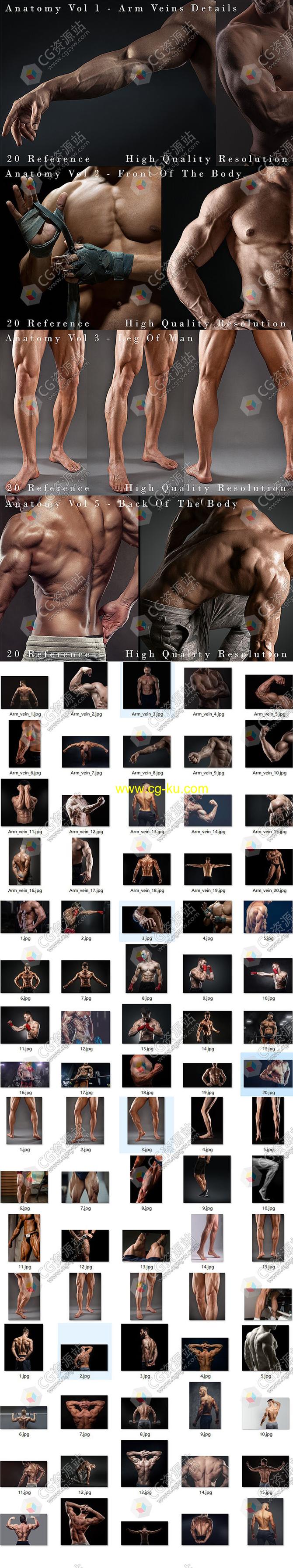 80张男性身体前部后部手臂静脉腿细节解剖学高清参考图片合集的图片2