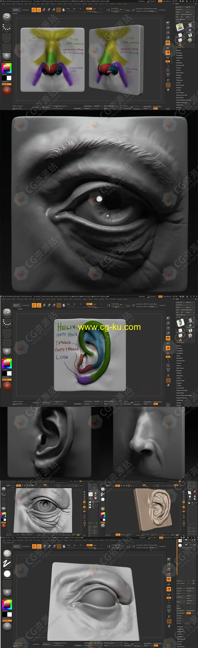 Zbrush人脸面部眼睛鼻子耳朵嘴巴雕刻视频教程的图片1